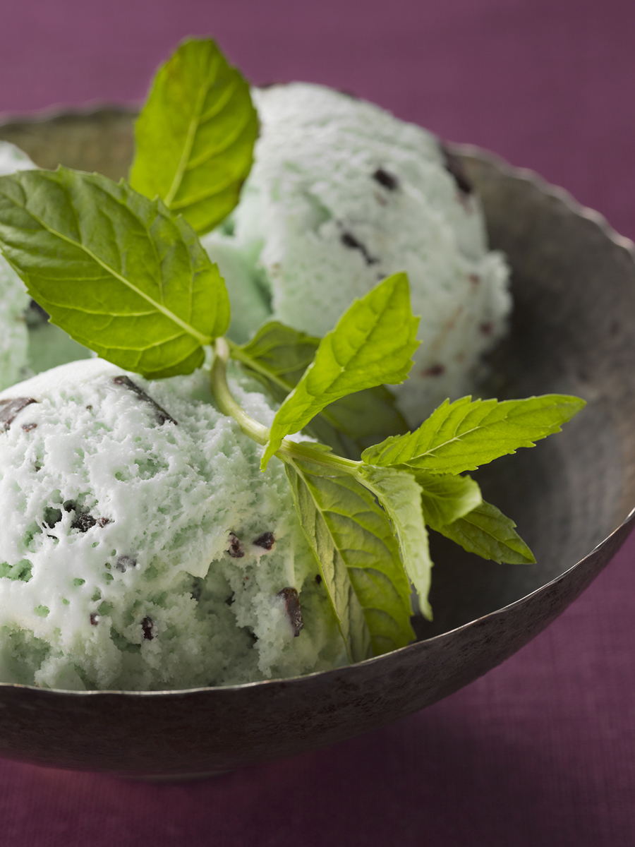 13-0620_07_MINT_CHOC_CHIP_013